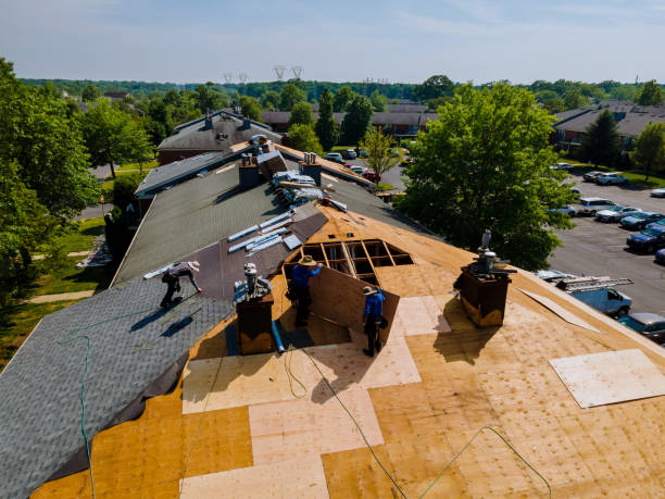Best Storm Damage Roof Repair  in Laurel Lake, NJ